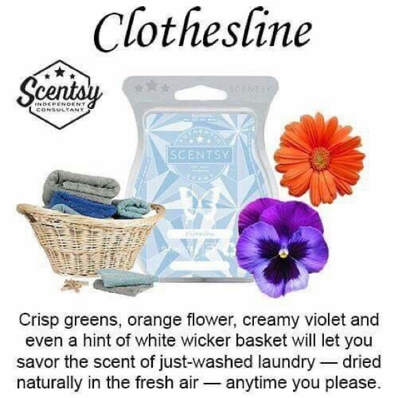 Scentsy Clothesline Room Spray - Picture 2 of 3